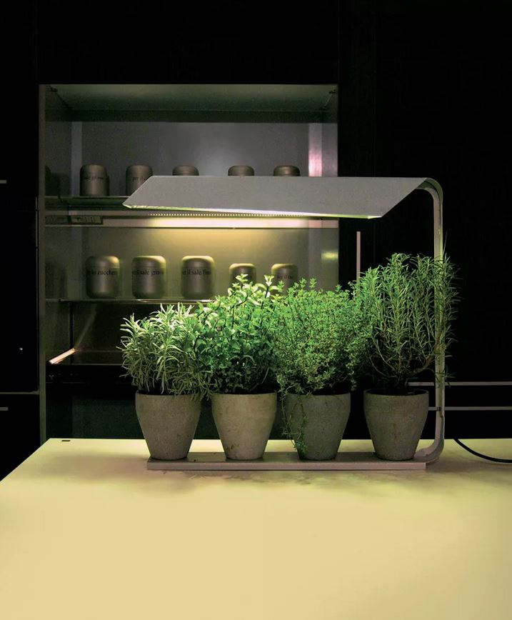 The Knikerboker Solaria a design grow light by Knikerboker